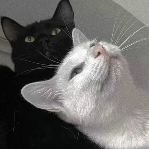 亚洲国产aⅴ精品一区二区高清
